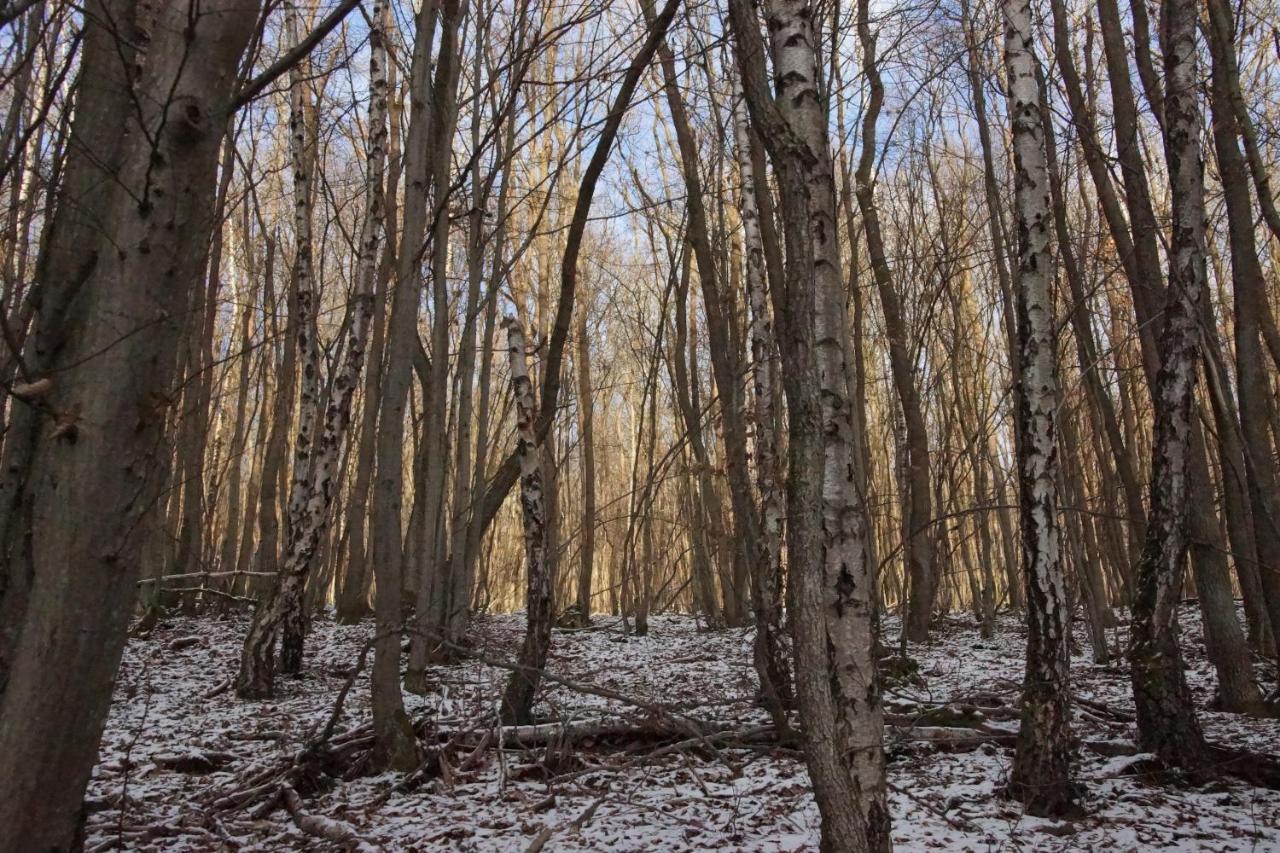 Gaestehaus Koehler Waldsolms Εξωτερικό φωτογραφία