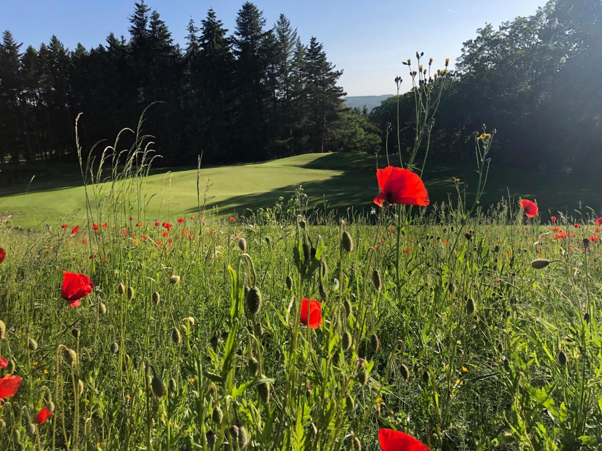 Gaestehaus Koehler Waldsolms Εξωτερικό φωτογραφία