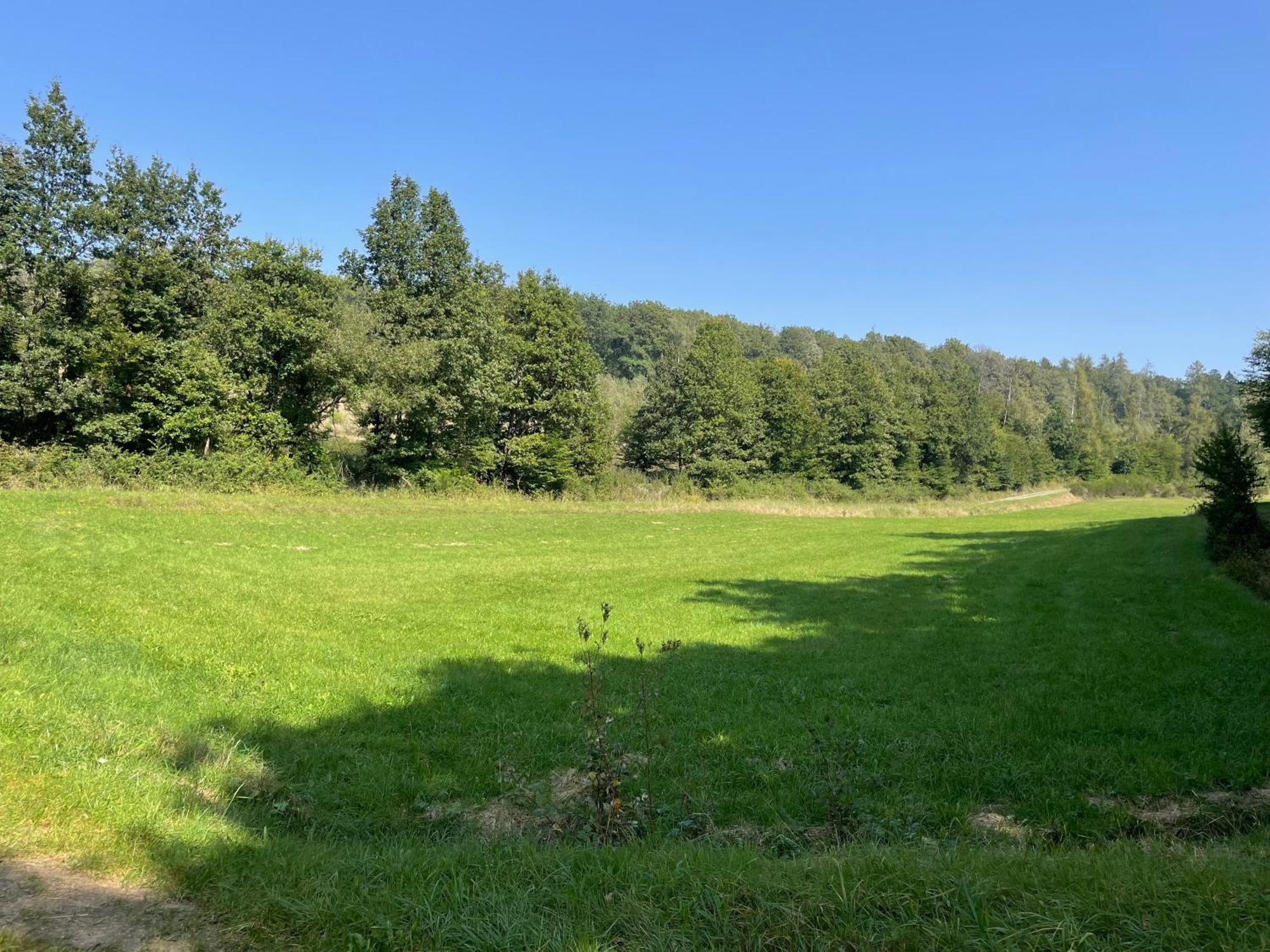 Gaestehaus Koehler Waldsolms Εξωτερικό φωτογραφία